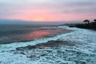 Surf